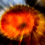 Easy Thai Coconut Curry Dumpling Soup