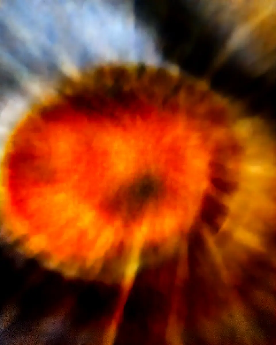 Easy Thai Coconut Curry Dumpling Soup for a Cozy Night In